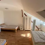 Prvni Liga *